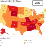 Firearm Mortality by State 2020